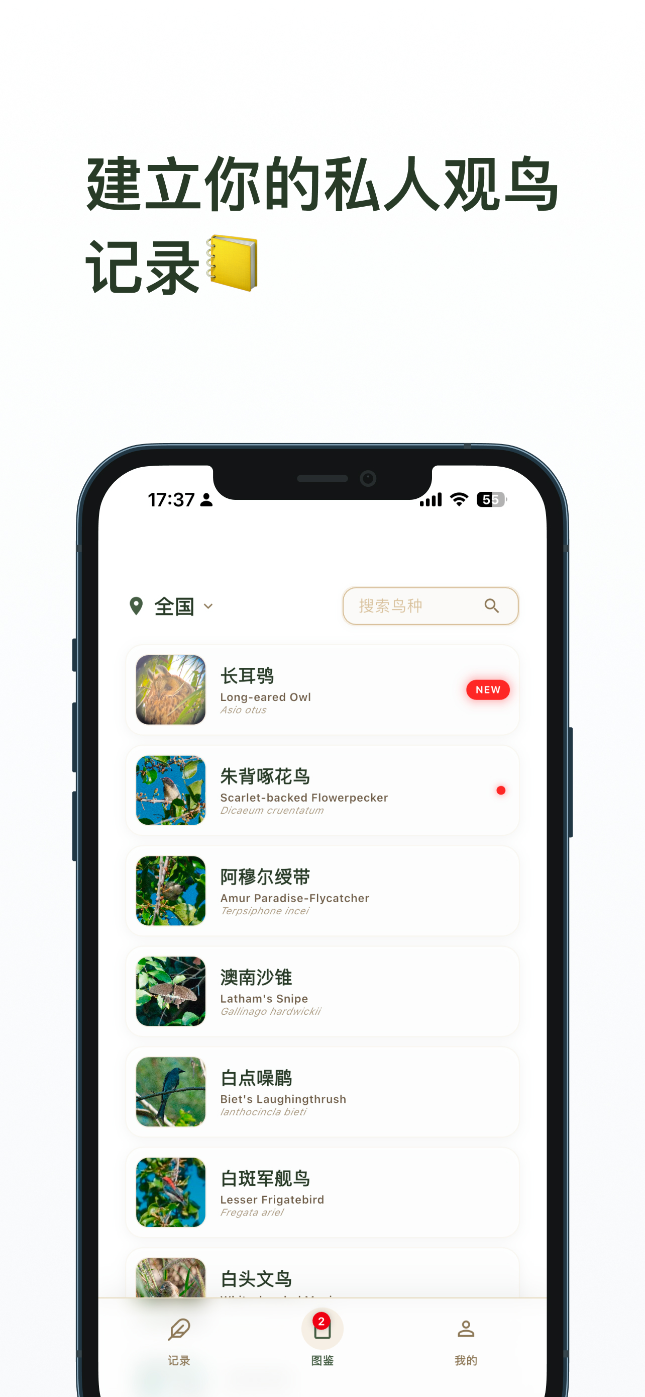数毛图鉴列表截图