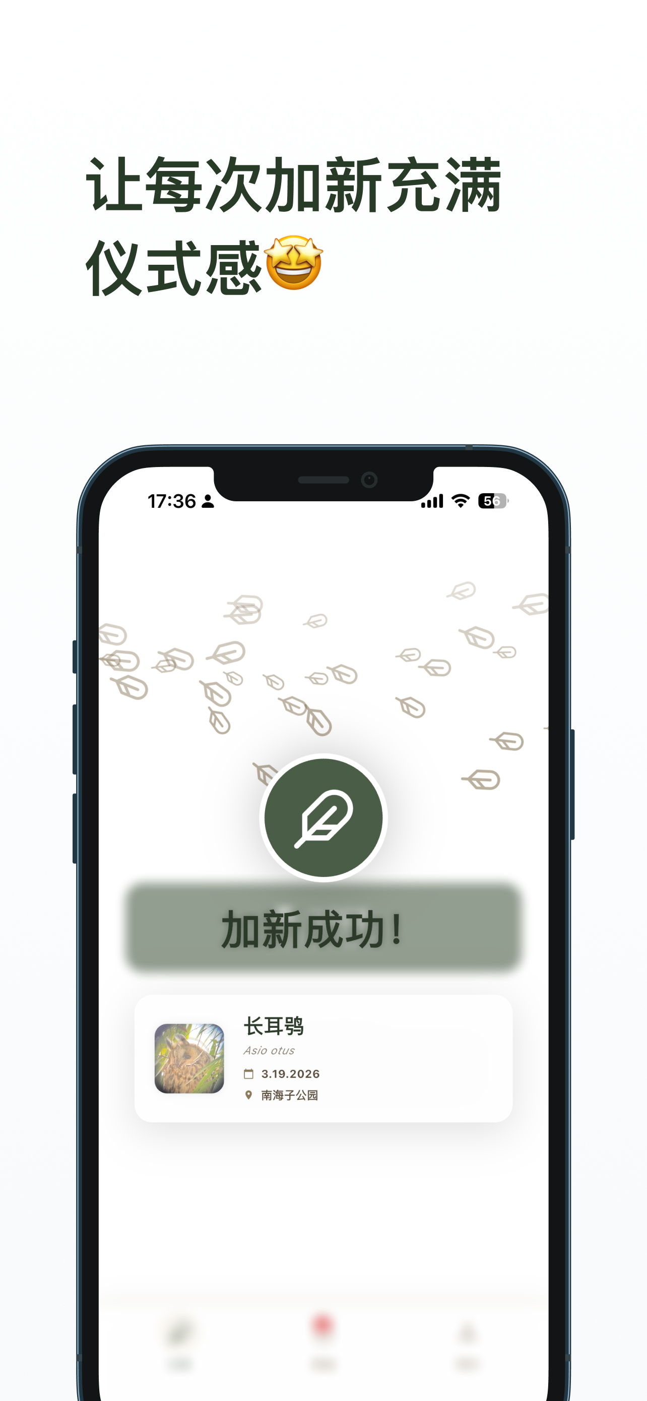 数毛记录成功截图